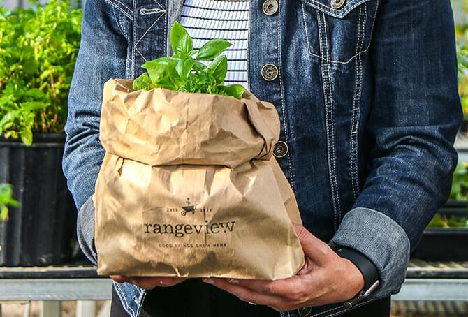 Paper bag containing new plant